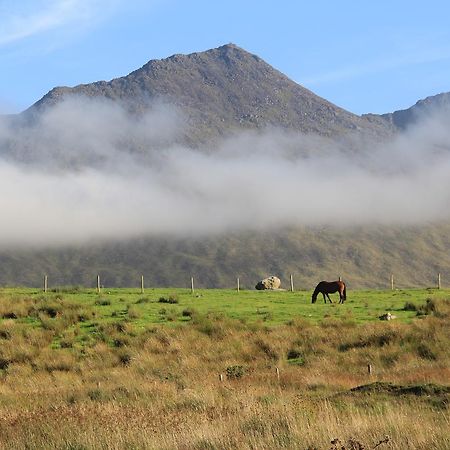 The Reeks Cottage Кілларні Екстер'єр фото