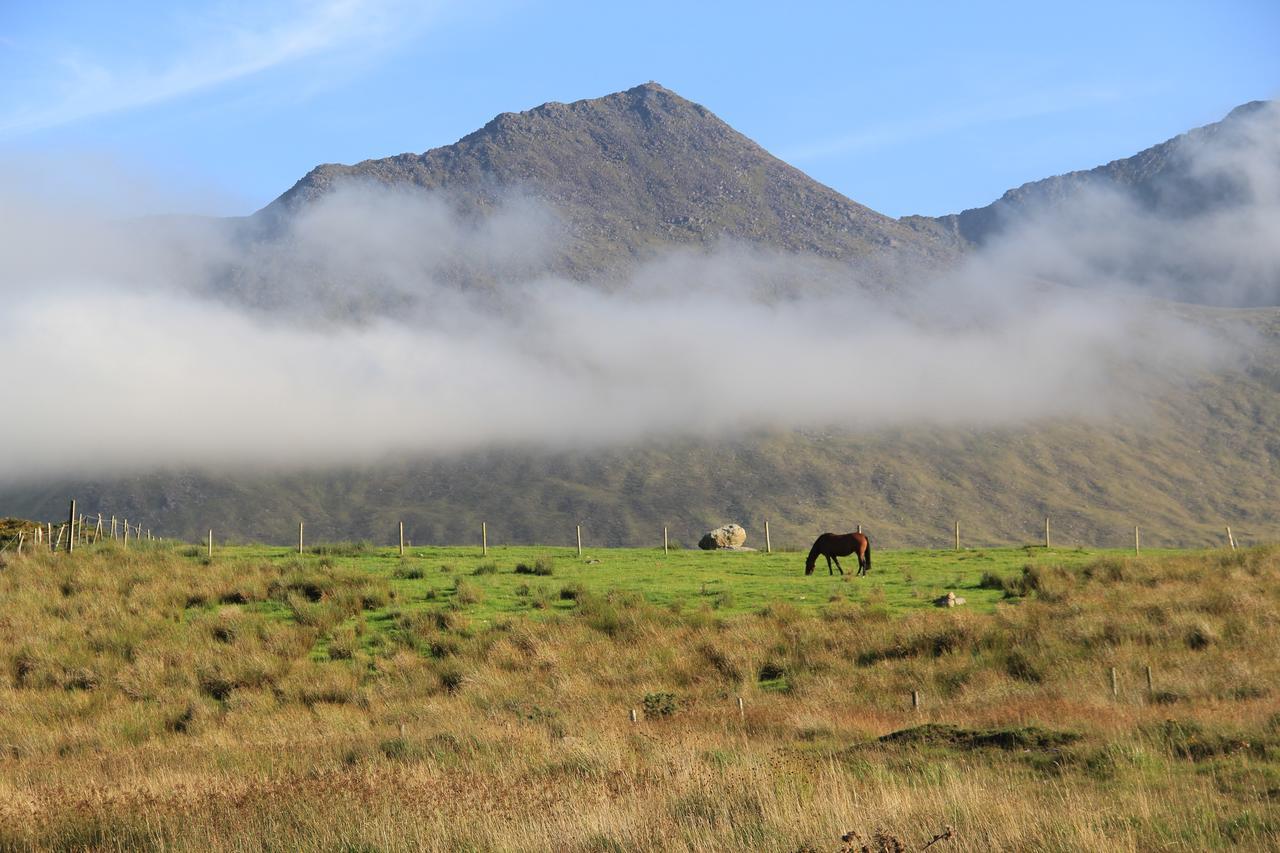 The Reeks Cottage Кілларні Екстер'єр фото